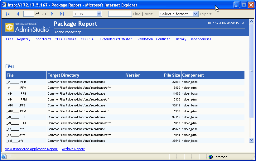 Package Report / Files View